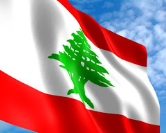 The Universal Periodic Review, Lebanon 2015: Civil Society Reports